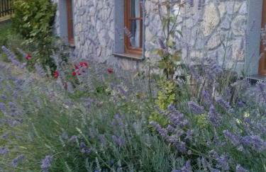 Kuća Za Odmor Barbara - Photo 32