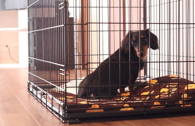 decopinhouse - Foto 62