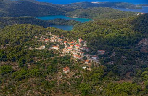 Agriculture & Holiday house Lasko - Photo 19