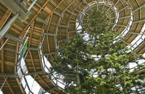 Cozy I Blockhütte im Nationalpark I Ferienwohnung - Foto 22