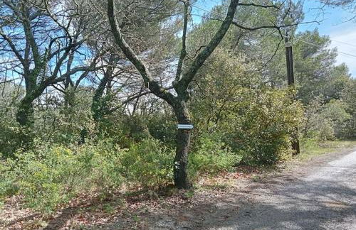 La garenne basse chez Sylvie - Foto 14