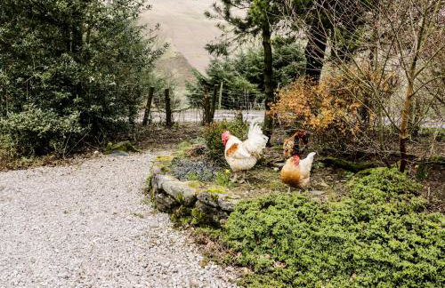 Brant View - Foto 37