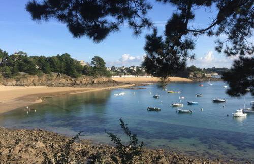 Maison Plein Sud St Lunaire Bretagne - Foto 1