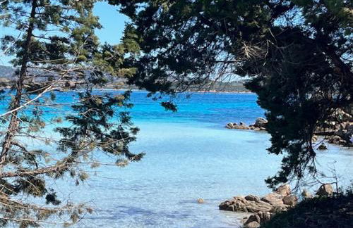 Porto Coda Cavallo Salina Bamba - Foto 15