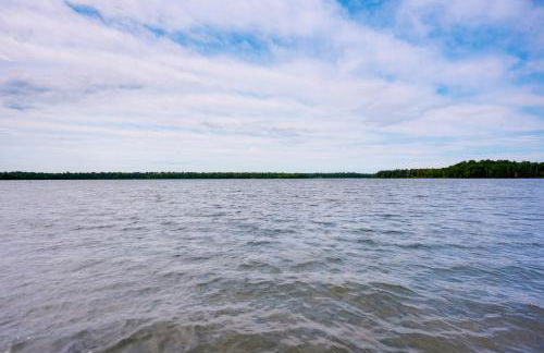 The Loony Bin - Foto 43