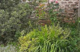 Casa do Hiebra Alojamiento Rural Ribeira Sacra - Foto 45