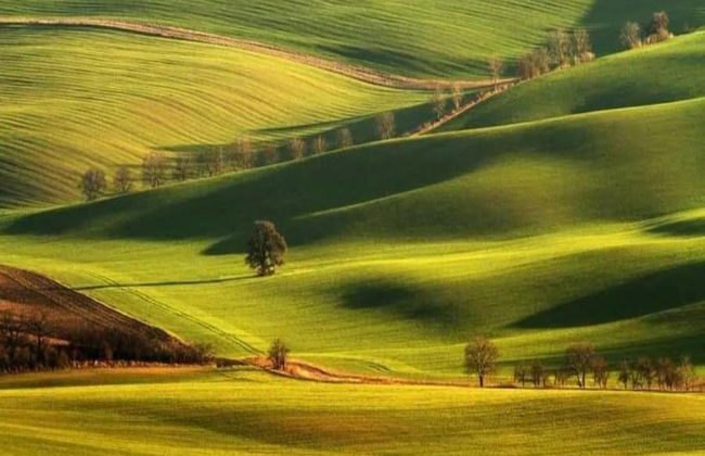 Relaxing Forest Escape With BBQ - Foto 33