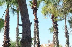 LagoVista45 - Foto 17