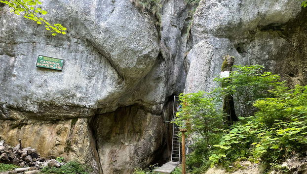 Day Trip to Seven Ladders Canyon - Foto 3