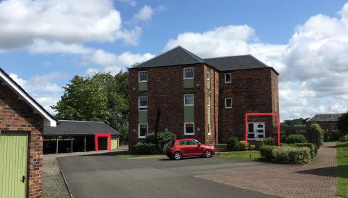 The Little Beech Tree - Foto 3