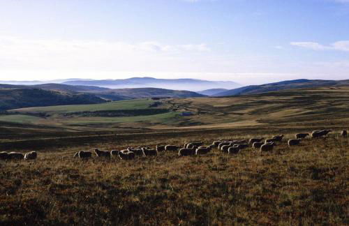 Gite Le Chalet SaintAnthème / Prabouré - Foto 50