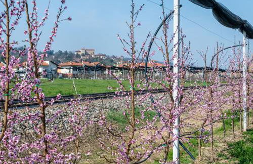 Holiday Home Da Marita by Interhome - Photo 62