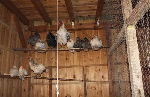 Eco Urbión - Foto 142