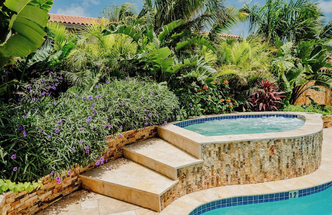 Charming 1-bedroom Apartment 2 km From Eagle Beach - Foto 14