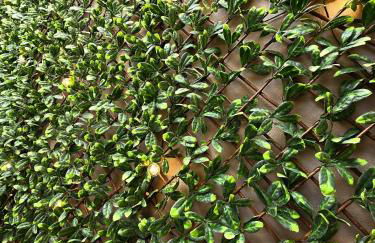 Sulle onde del Relax, 600mt dal mare, parcheggio gratuito - Foto 28