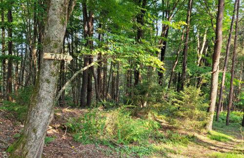 Game Room and Yard Greentown Home Near State Park - Foto 37