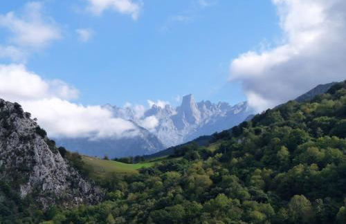 Cabrales Sol - Foto 26
