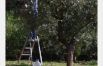 Villa des Mattes - Superbe maison de famille 15 couchages - Foto 23