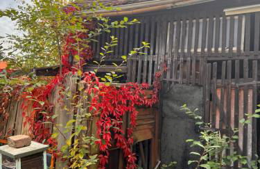 Katersuite - Foto 37