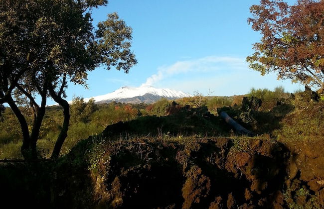 Etnella enoagriturismo Notti Stellate - Foto 48