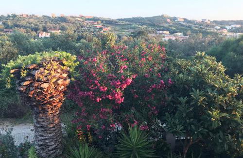 Floros Apartments - Foto 8