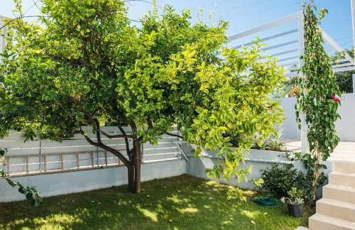 Thea Thalassa - Foto 68