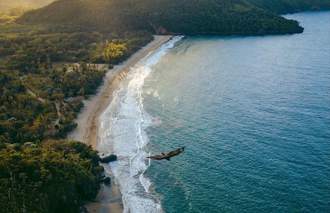 Srvittinivillas Aptla/p11 Great Apartment /work Travel / Couple /altos de Chavon - Foto 20