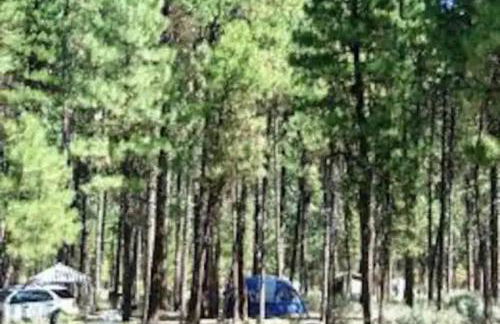 Clyde's Crib: Cozy Ms. Pac-Man - Foto 7