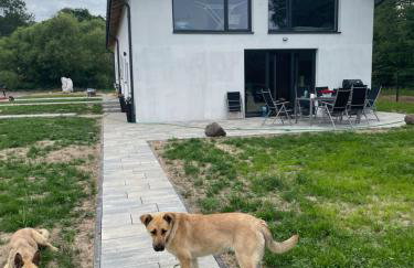 Apartament przy Warmińskich Pompejach - Photo 11