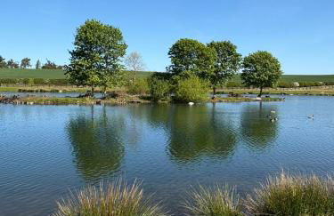 Stewards Cottage - Foto 32