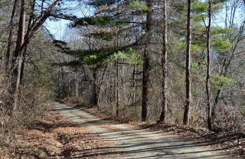 Beautifully Equipped Cabin for Luxury Getaway near Asheville, North Carolina - Foto 20