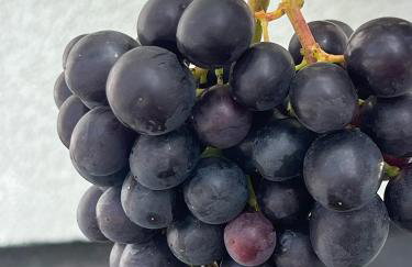 Apartamenty i pokoje nadmorskie - Owocowe Wzgórze - Foto 38