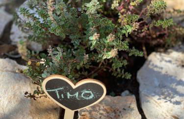 La casetta - Foto 19