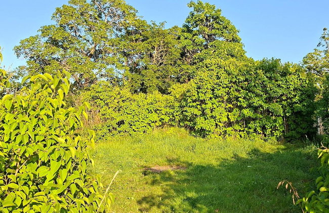 4 Star Holiday Home in Torshalla - Foto 21