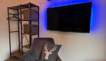 Exklusive FeWo AllgäuStern Steibis mit WLAN Sauna Kamin und Oberstaufen PLUS Card mit SKIPASS - Foto 3