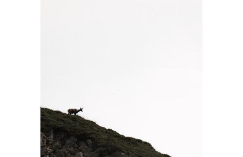 Ski Piau Engaly, plein sud avec vue sur les pistes à 50 m, cœur de station - Foto 33
