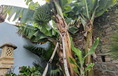 Solarium del Montecillo complex beach and city ApartamentosMalagaManagement - Photo 36