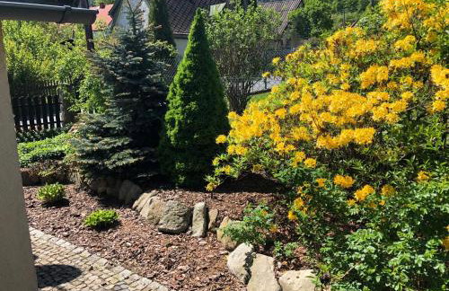 Dom górski do wynajęcia 3 km od Karpacza Sudecka 100 - Foto 21