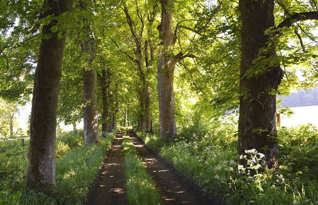 Castle in Roumont With Garden - Photo 35