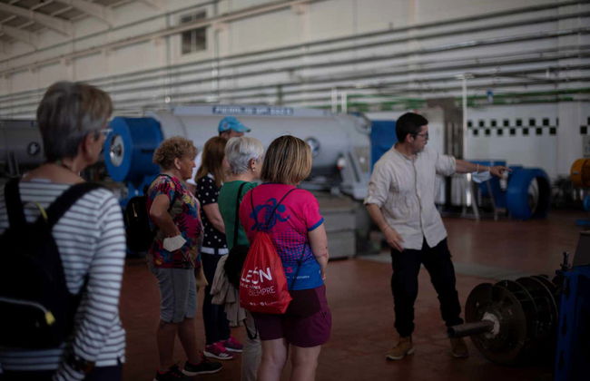 Visita a um olival e a um lagar de azeite + Degustação de azeites - Foto 11