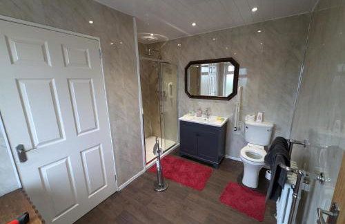 Traditional Farmhouse in Seaforde - Foto 13