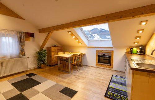 FeWo Froschkönig mit Sauna & Bergblick, Self-Check-in, WLAN, Parkplatz, zentrumsnah - Foto 2