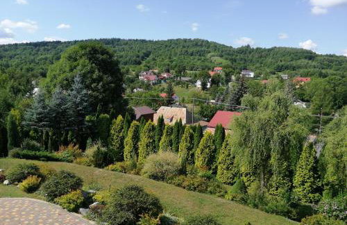 Agroturystyka Iwańcze Pole - Foto 58