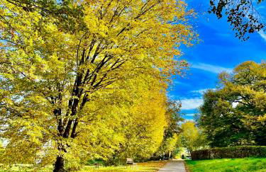 Modernes Studio mit separater Küche - Foto 21