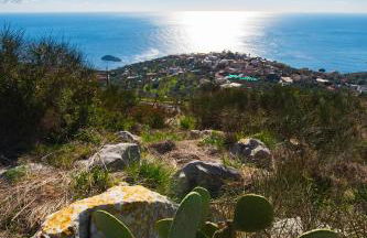 Agriturismo Fattoria Terranova - Foto 26