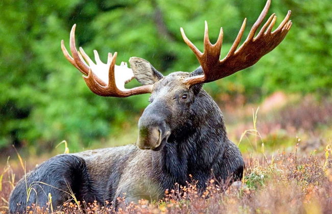 Holiday Home in Vätö - Photo 4