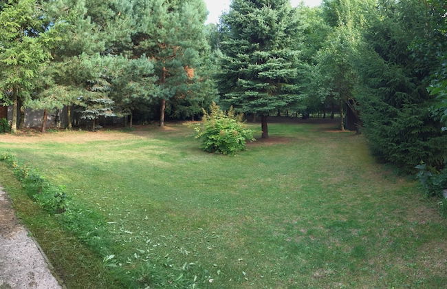 Ferienhaus Mirow-Lärz - Kamin Wald Ruhe - Foto 59