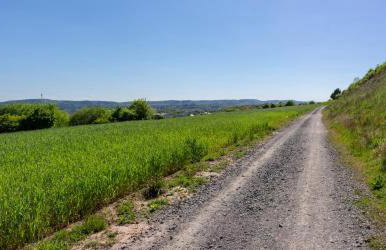 Wonderful Renovated Apartment With Great Location - Foto 35