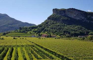 Agritur Girasole - Foto 24