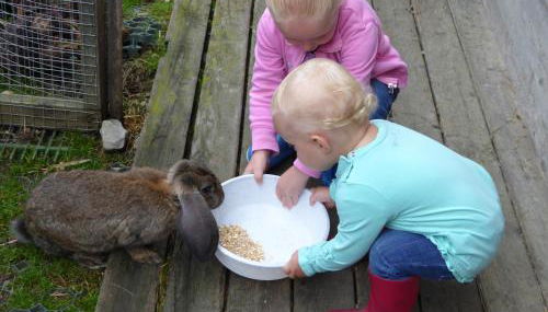 Residence Bannwald - Photo 5